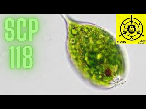 Scp 118 (Protista Nuclear)