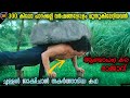 പലരും അവനെ മണ്ടൻ എന്ന് വിളിച്ചു പക്ഷ�