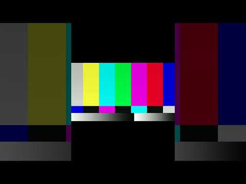 Nature's Armored Soldier: The Incredible Anatomy of a Giant Scorpion