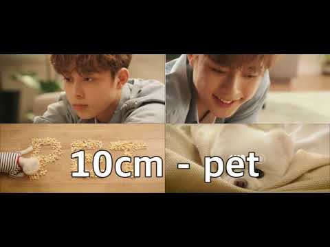 10cm - pet 30분 연속재생