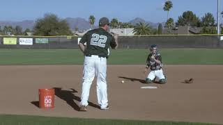 Tennis Ball Soft Hands