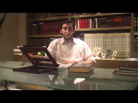 Parshas Emor: short concise weekly torah portion overview.