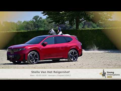 stella vh reigershof