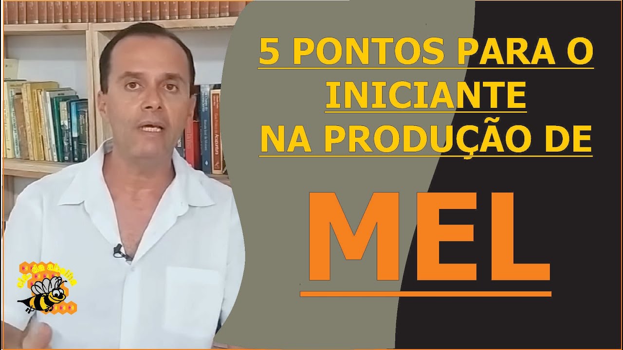 5 PONTOS PARA O INICIANTE PARA ATINGIR A SUPER PRODUÇÃO DE MEL
