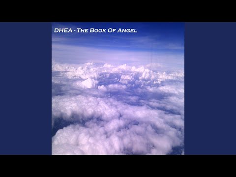 The Book of Angel