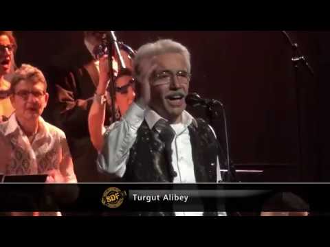 Halvaci halva - Turgut Alibey