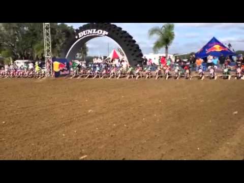 Mini O's 2013 65cc 7-9 mod