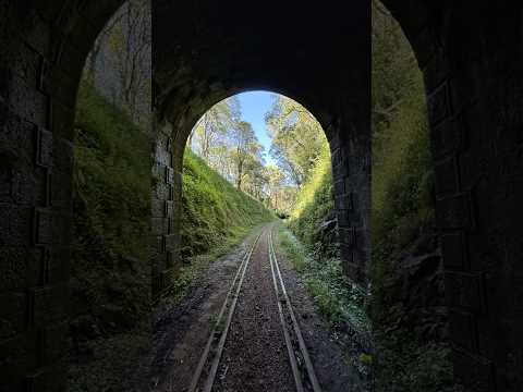 TÚNEL FERROVIÁRIO -  ASSALTO A TREM PAGADOR - PINHEIRO PRETO / SC  #turismo