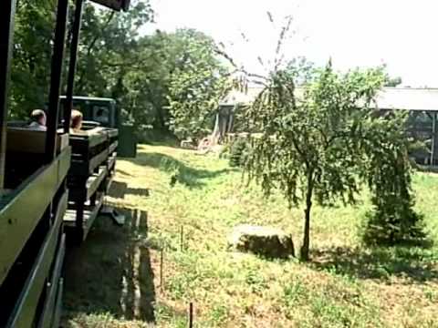 Kaszói keskeny nyomközű vasút