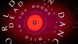 Dead Can Dance  -  Wild In the Woods