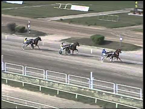 Trotto 16/10/2014 - 1° prova di riqualifica