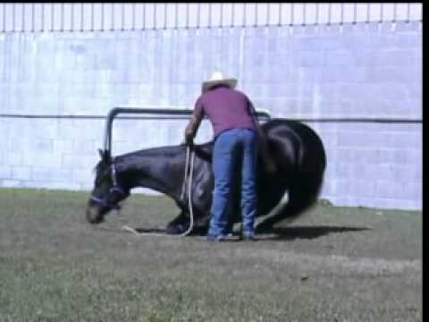 Highplains Drifter doing Tricks