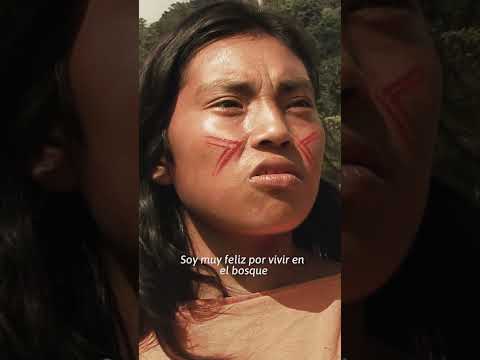 #ViveBosques - Canto Nomatsigenga