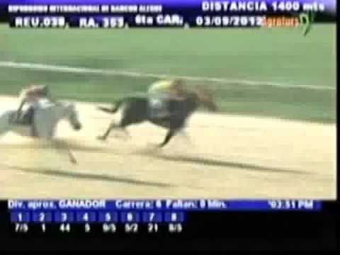 Resumen Lunes, 03 de Septiembre de 2012 - Rancho Alegre