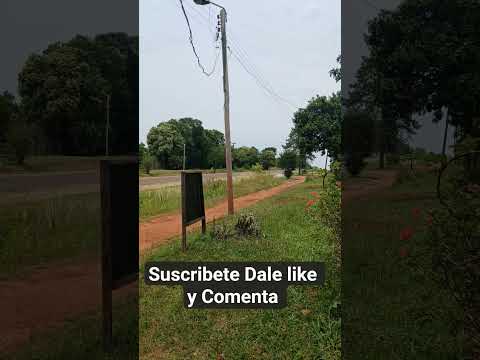 ase mucho calor,pero es un lindo dia(｡-ω-)#itacaruare#misiones