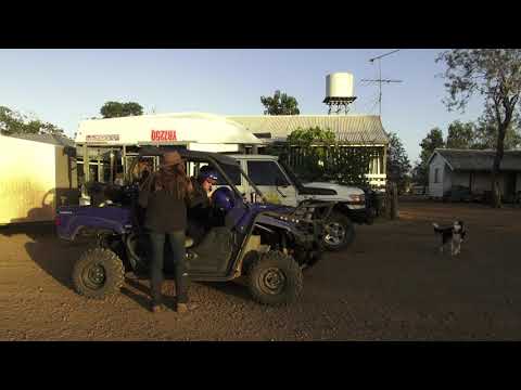 Wild Dog trapping in Australia with Clark McGhie