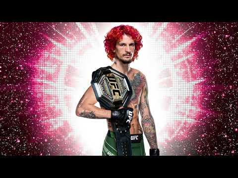 UFC Sean O'Malley Theme Song "Superstar" 2023