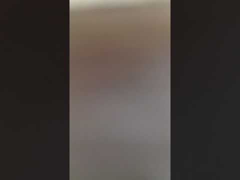 BCI Or Zarua Latzadik ulyishrei lev simcha