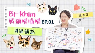 [討論] 副手這幾天觀察, 美琴只會玩貓?