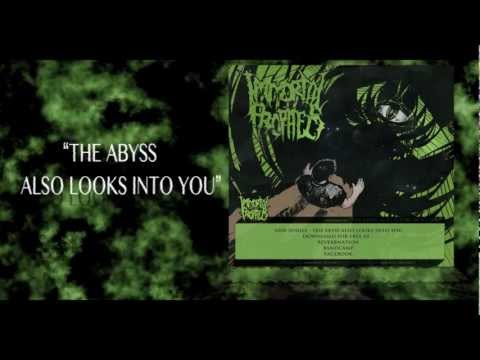 Immortal Prophecy - The Abyss Also Looks Into You (LYRIC VIDEO)