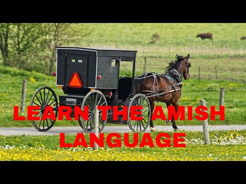 Learn the Amish language