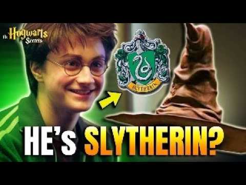 The Sorting Hat NEVER Sorted Personality