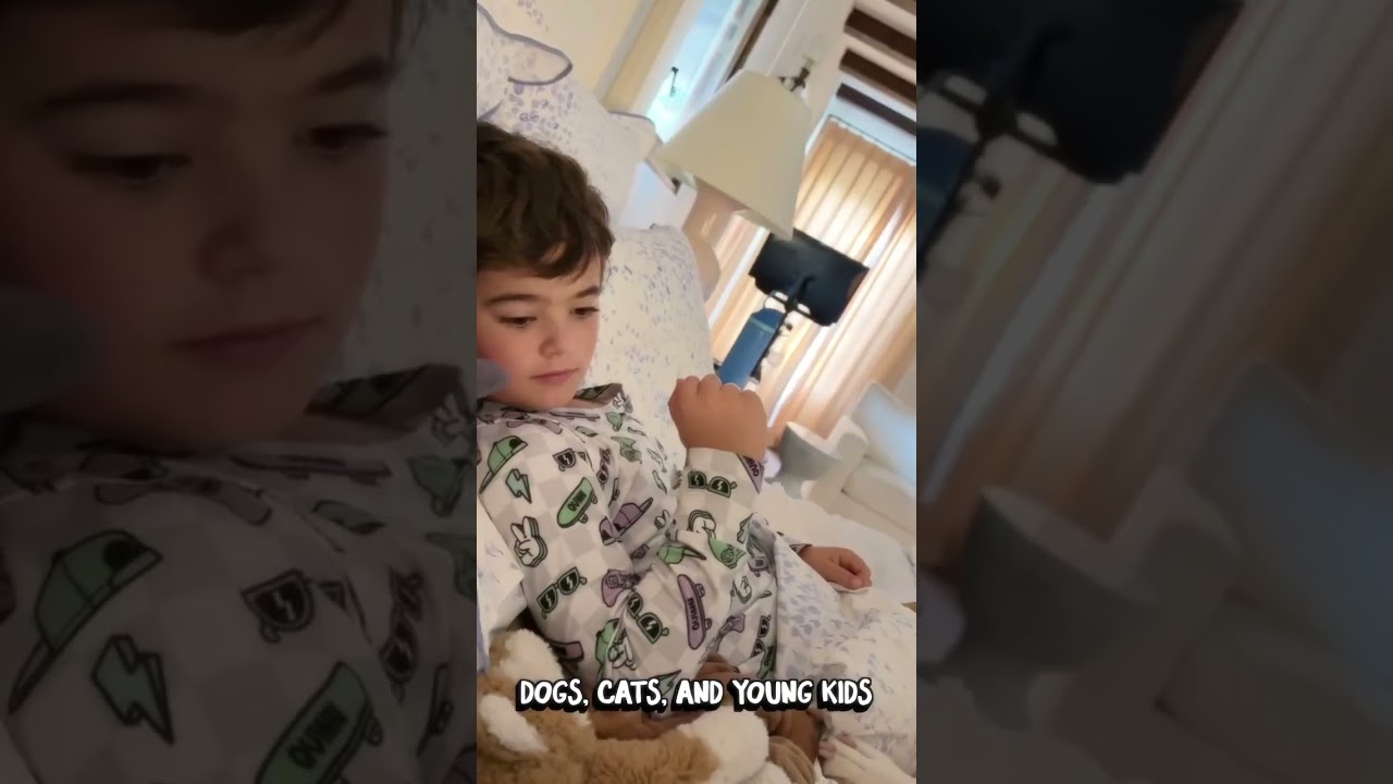 Enlarge Cricket is a shy angel who loves dogs and cats and kids , a Adoptable Pit Bull Terrier in Los Angeles, CA video 5/6