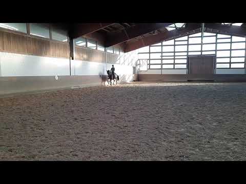 Wallach v. Millennium