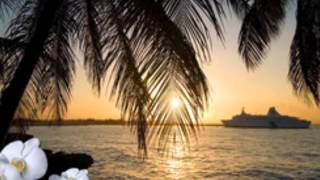 Die Flippers   Santo Domingo