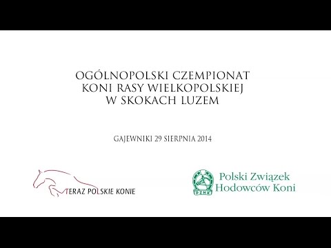 Ogólnopolski Czempionat Hodowlany Koni Rasy Wielkopolskiej w Skokach Luzem - klacze
