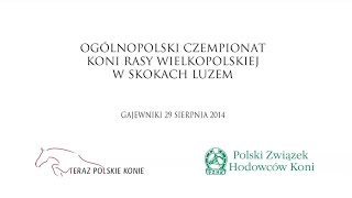 preview picture of video 'Ogólnopolski Czempionat Hodowlany Koni Rasy Wielkopolskiej w Skokach Luzem - klacze'