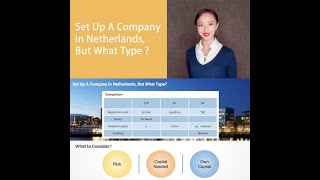 Set Up A Company in Netherlands, But What Type ?