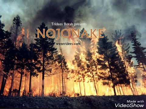 Trideev Borah - Nojonake