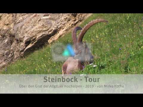 Tourenbericht - Steinbock Tour