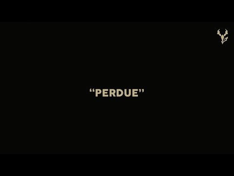 Yseult - PERDUE (Lyric Video)