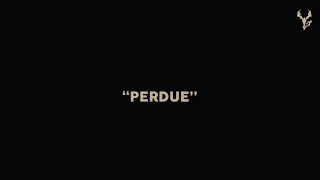 Musik-Video-Miniaturansicht zu PERDUE Songtext von Yseult