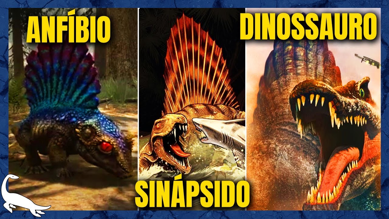 Por que ANIMAIS EVOLUÍRAM VELA nas COSTAS?