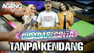 Download lagu Bidadari Cinta [ TANPA KENDANG ] Versi New Ageng Musik Cover KORG Pa Series mp3