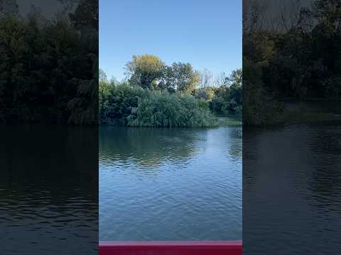 Río Claro 📍Talca