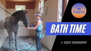 BATHING MY HORSE // + unboxing giveaway