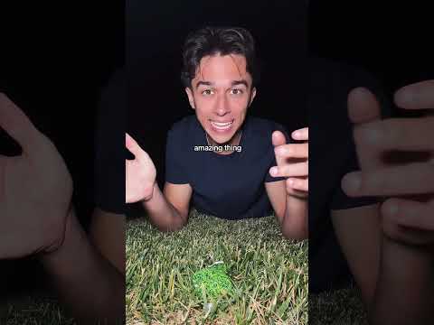 Why I LOVE Touching Grass.. 🍃 #relatablestories #comedy #funnymemes