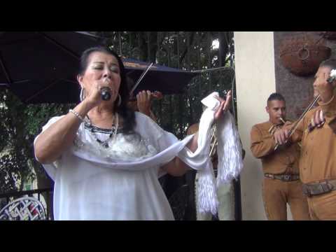 ¿Porqué?.-  Lucha y Jorge