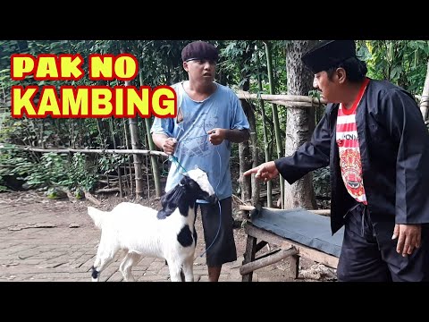 ora-masuk-boss-mancing-emosi