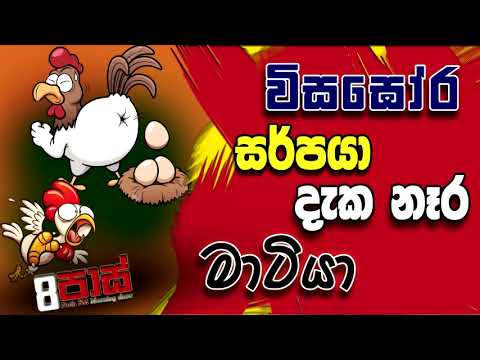 NETH FM 8 PASS JOKES 2022.08.23 | විසඝෝර සර්පයා දැක නෑර මාටියා