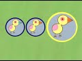 Nick Jr Chicks Different Worldwide