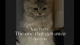Download lagu The one that got away sped up - Katy Perry mp3 Download lagu The one that got away sped up - Katy Perry mp3