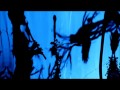 FAUN Wind & Geige / LUNA Deluxe Edition Lyrics ...