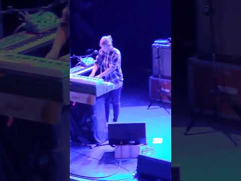 Yo La Tengo - Black Flowers [Live @ Metro - Chicago 2023-06-24]