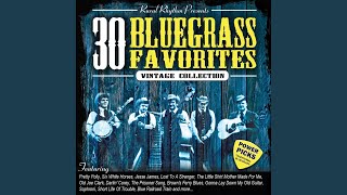 When the Bees Are in the Hive