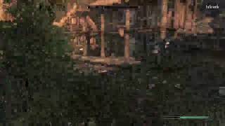 Gay skyrim